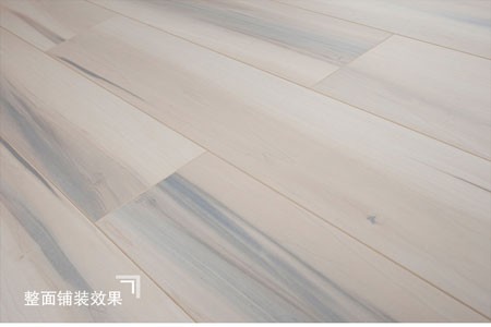 特瑞 JL2616