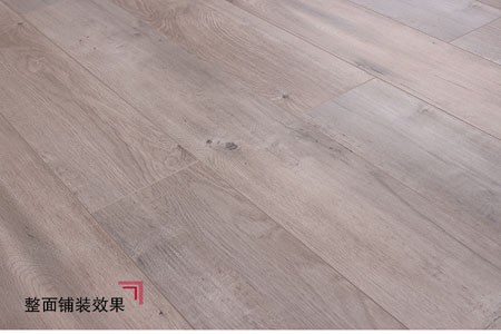 洛尼克 KF3001